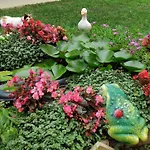 снежа/ Snezha * Obzor