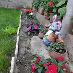 Guest house снежа/ Snezha