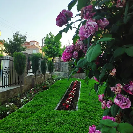 Guest house снежа/ Snezha *