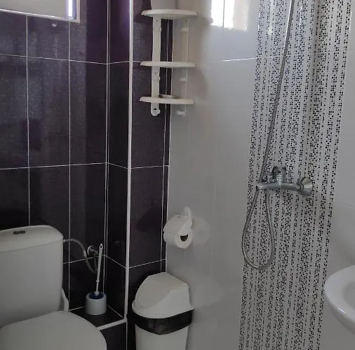 снежа/ Snezha *