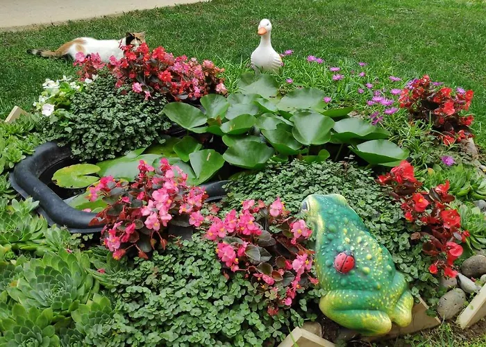 снежа/ Snezha * Obzor