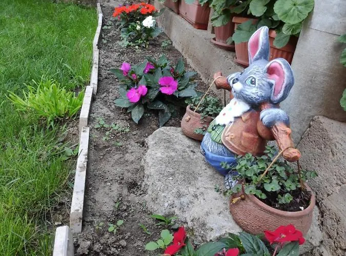 Guest house снежа/ Snezha