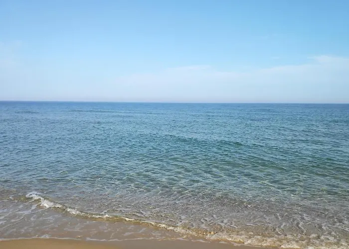 снежа/ Snezha *