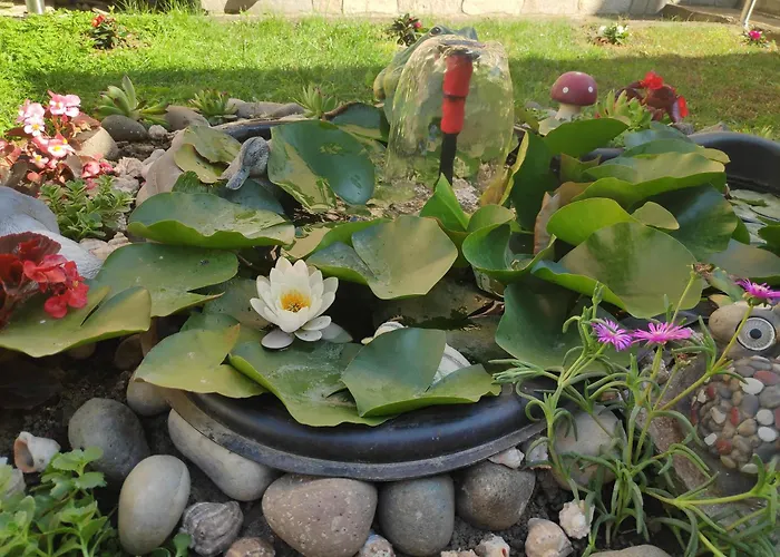 снежа/ Snezha Guest house *